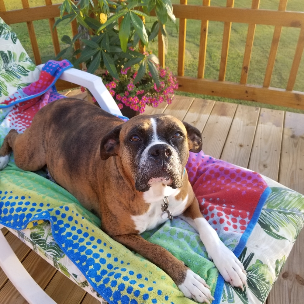 Meet your Posher, Christy